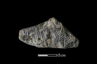 陶片藏品圖，第1張